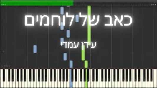 כאב של לוחמים